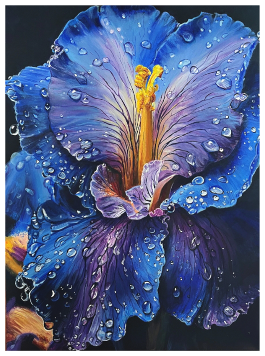Art Print Iris