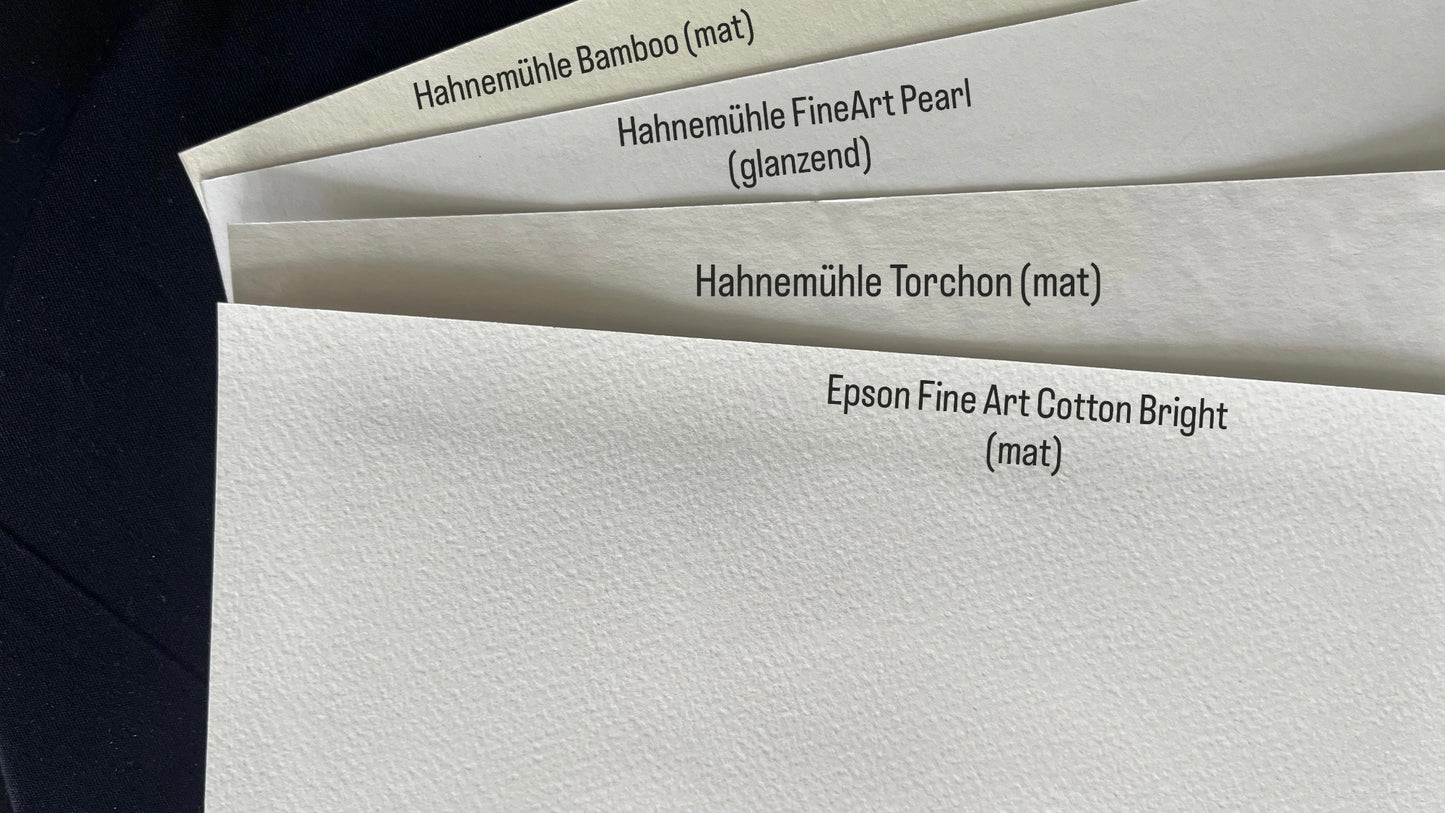 Art Print Wild Apples